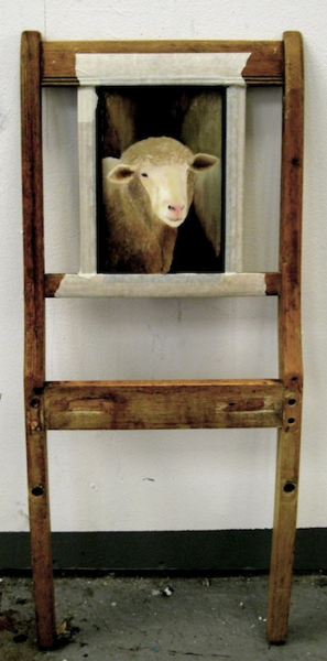 sheep, 2007